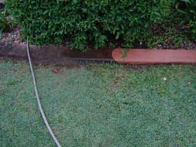 Cleaning removes mould on concrete garden edges